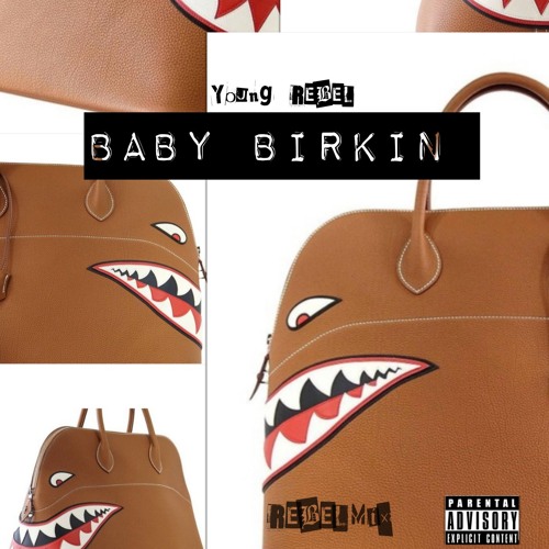 Baby Birkin (REBELMix).mp3 by R.E.B.E.L 