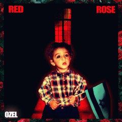 RED ROSE // ורד אדום