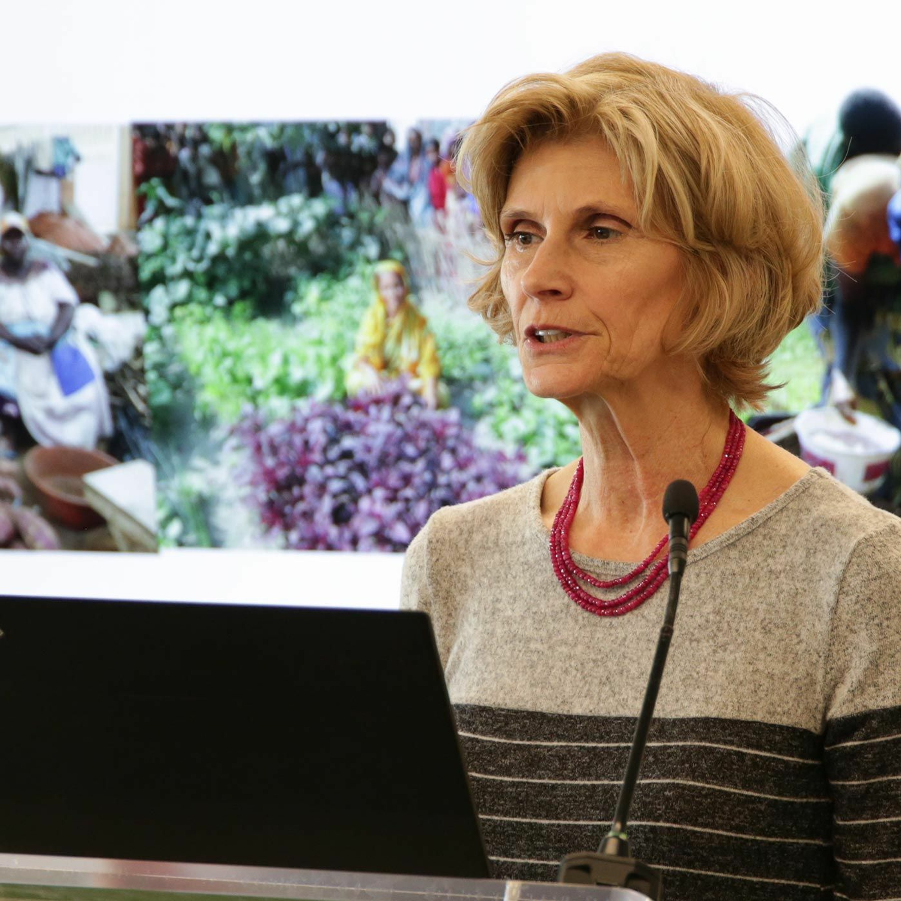 IFPRI Book Launch:  Agriculture for Improved Nutrition - 2/28/2019 - MRuel episode artwork