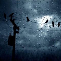 PRXJEK - Is It Wrong That I Wanna Fall Asleep Forever
