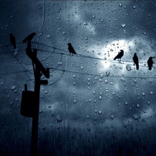 PRXJEK - Is It Wrong That I Wanna Fall Asleep Forever