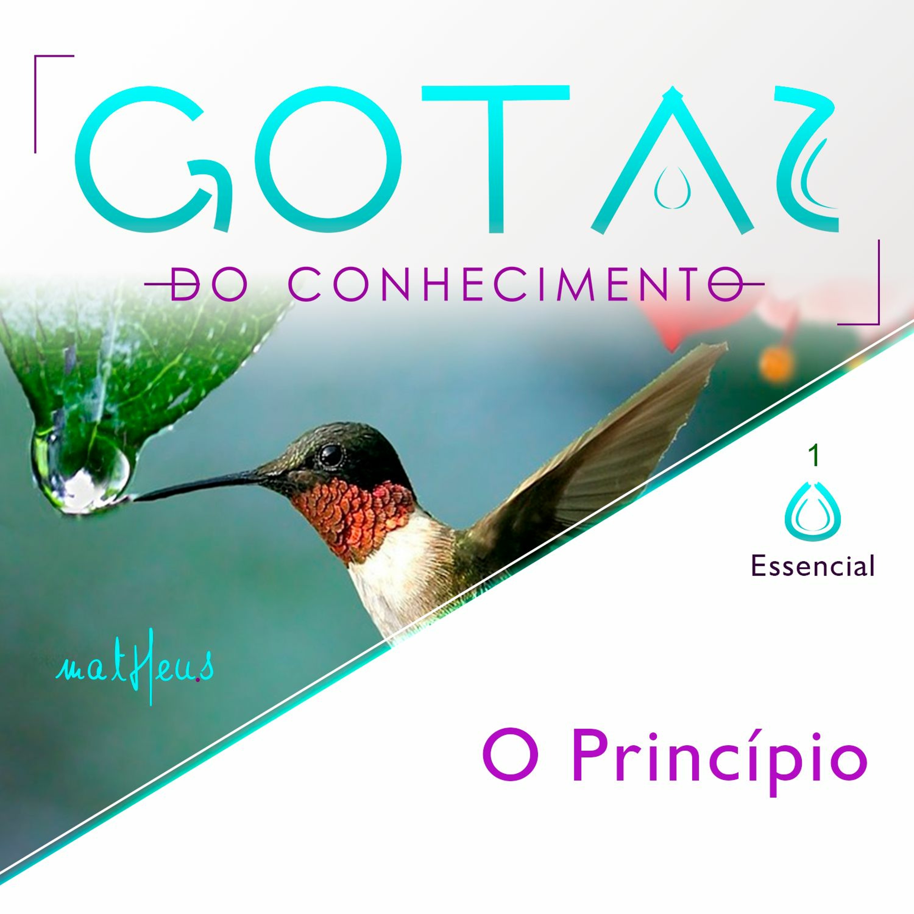 Academia de Excelência
