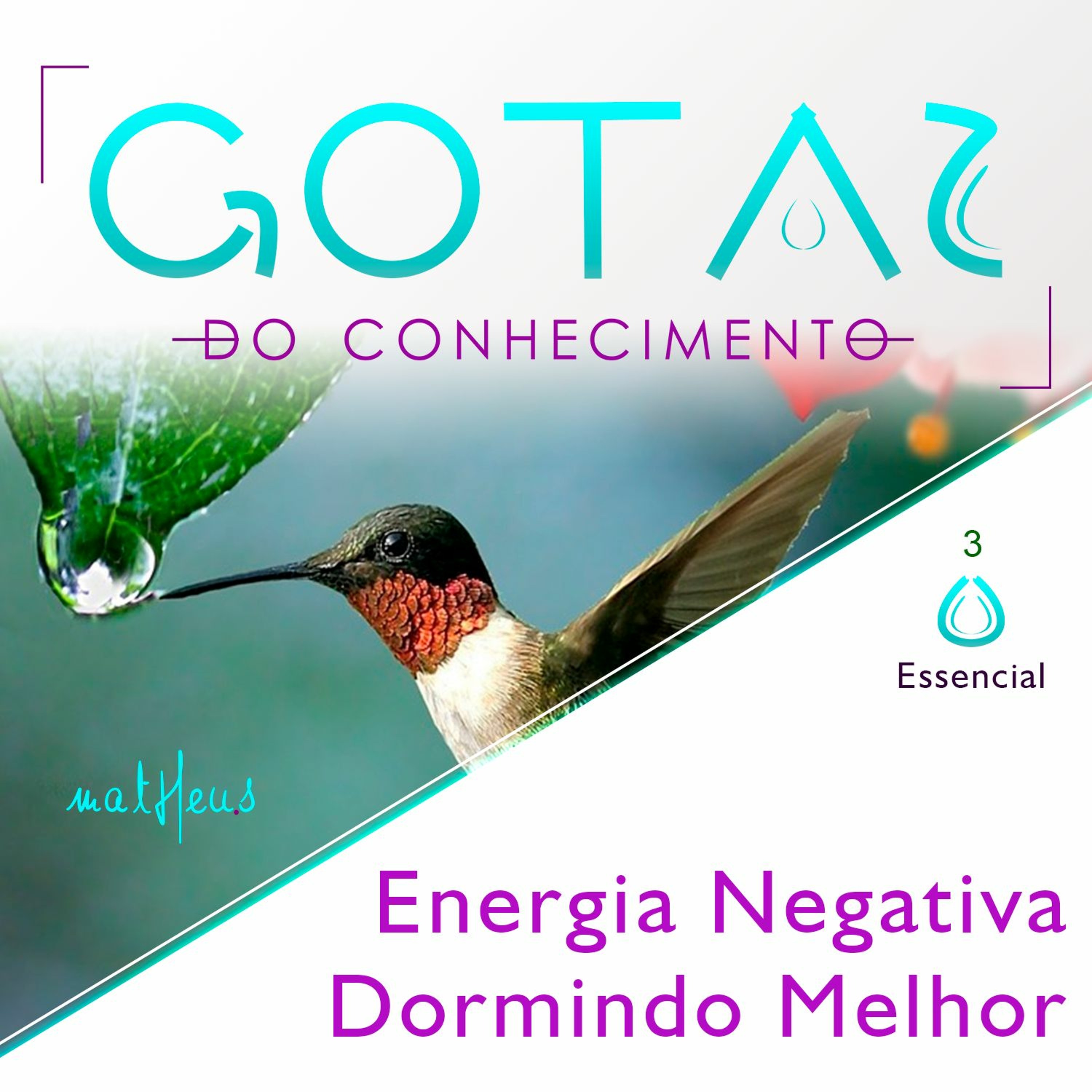 Academia de Excelência