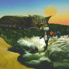 Matthieu Setiawan - Sale Temps Pour Les Mouettes