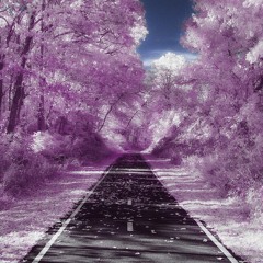 Purple Path
