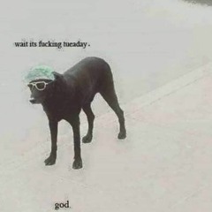 tuesday type beat