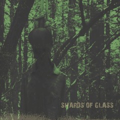 shards of glass (prod. loopgoonz)