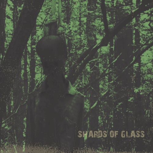 shards of glass (prod. loopgoonz)