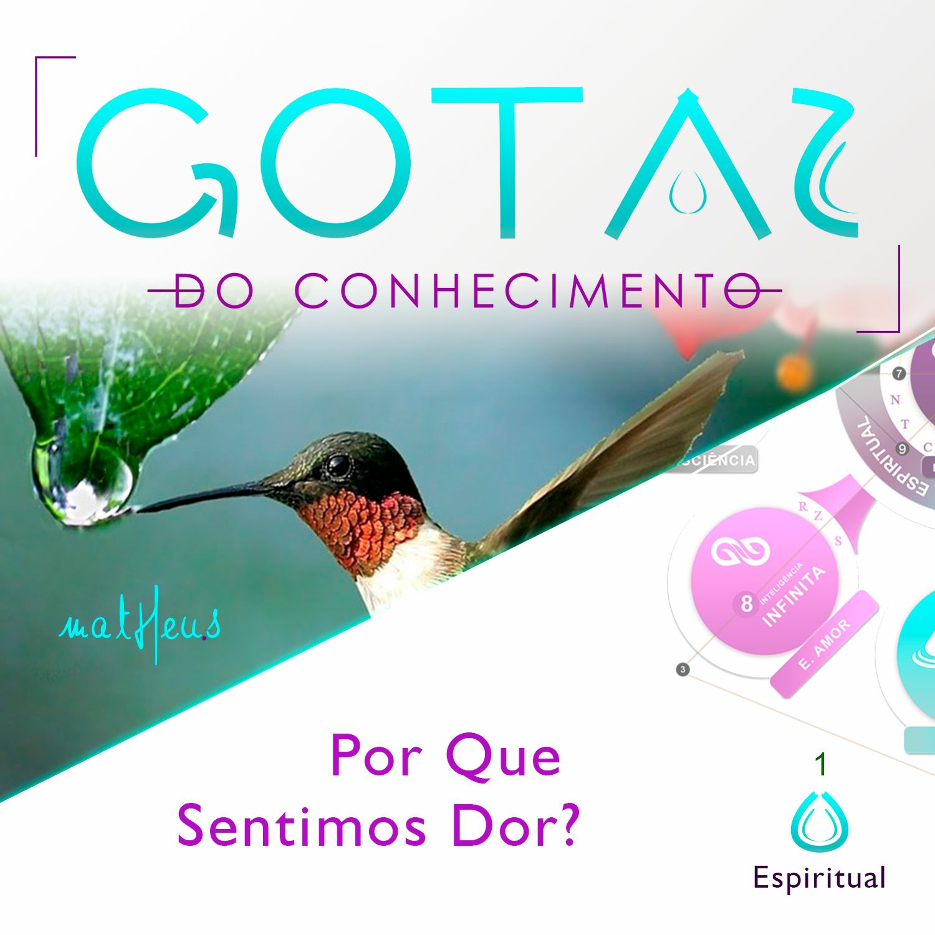 Academia de Excelência