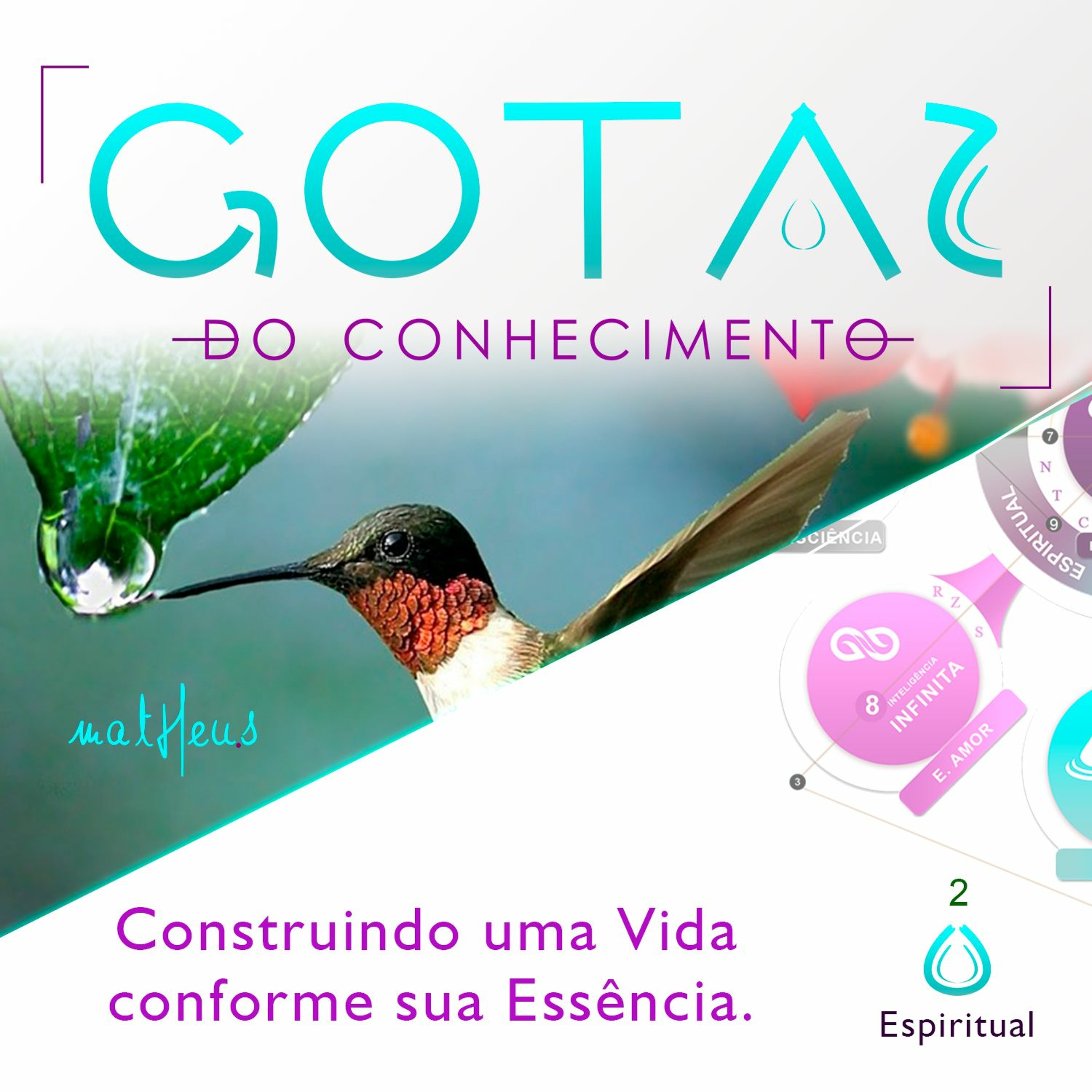 Academia de Excelência