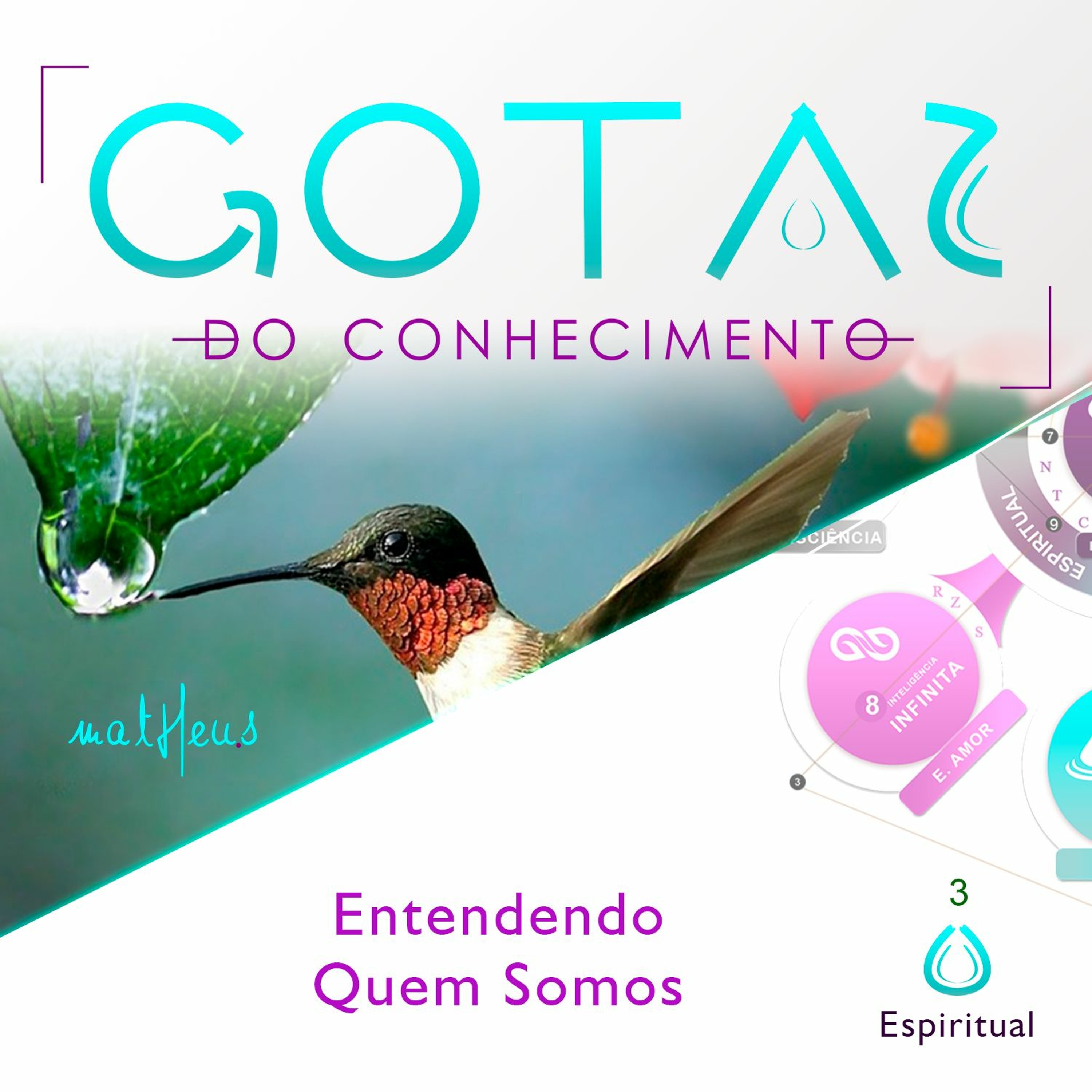 Academia de Excelência