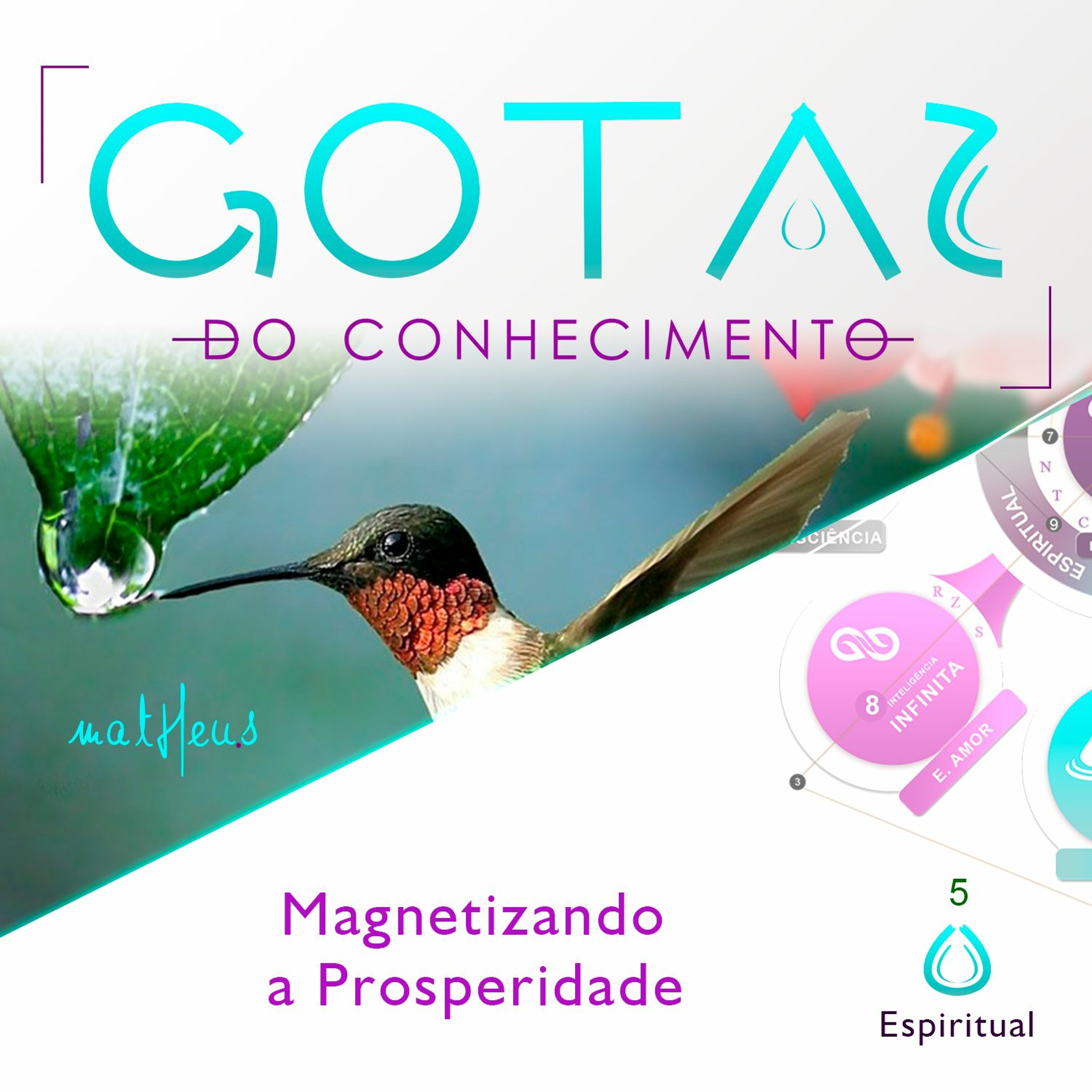 Academia de Excelência