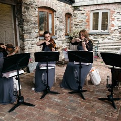 Paparazzi. String Quartet