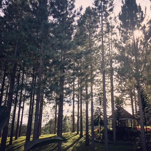 Fresh Air
