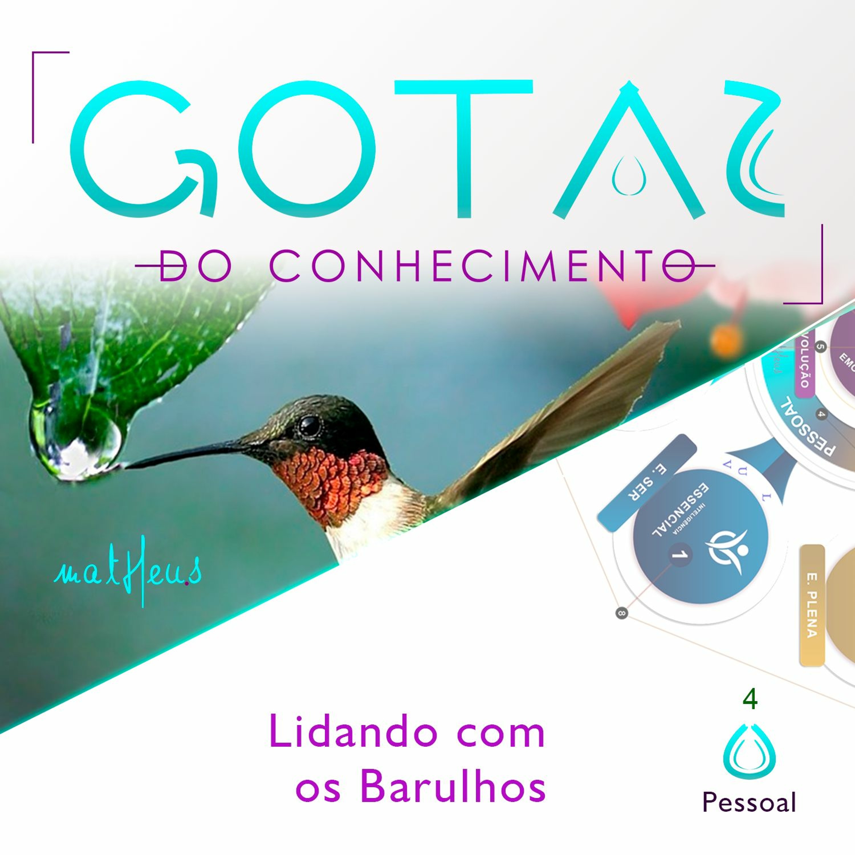 Academia de Excelência