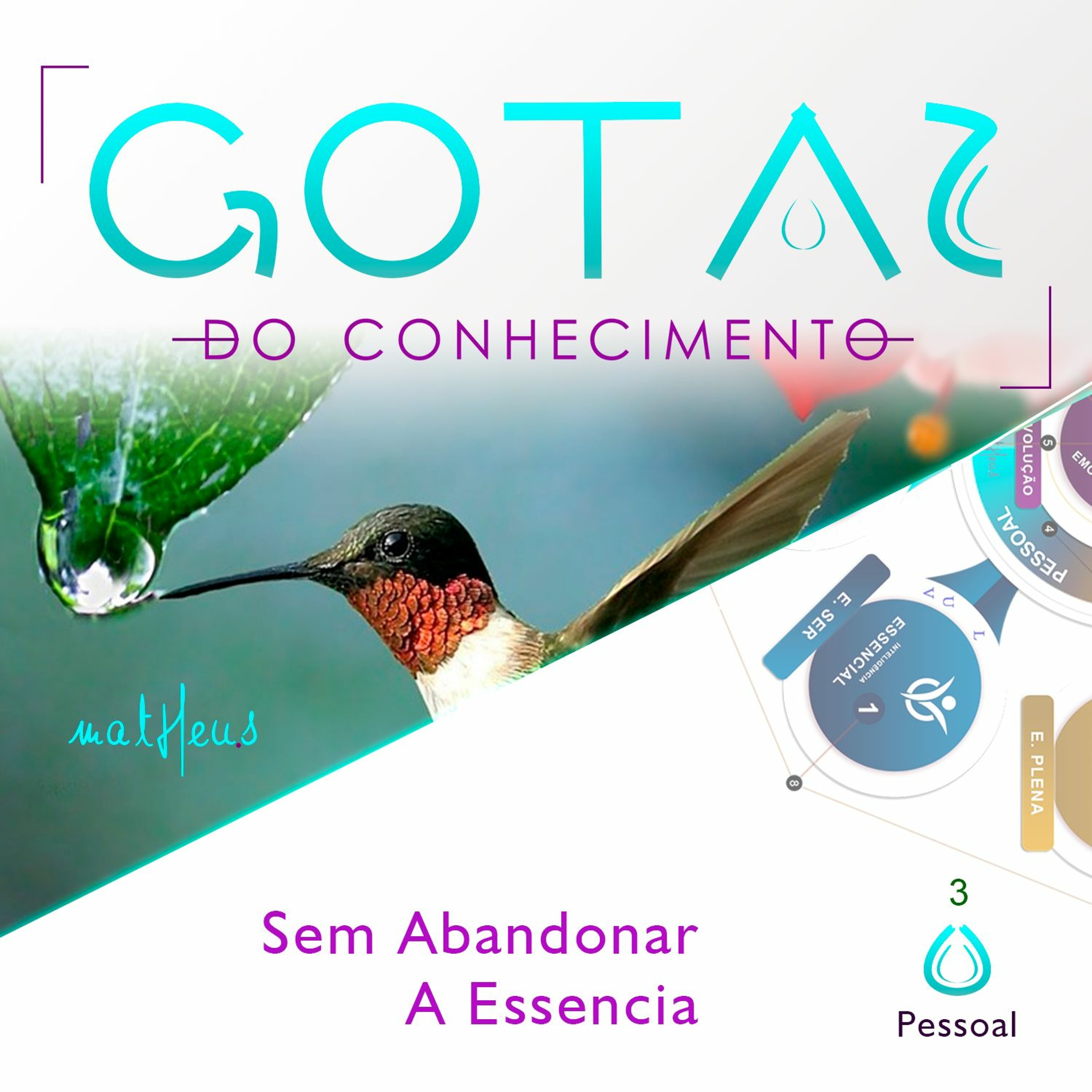 Academia de Excelência