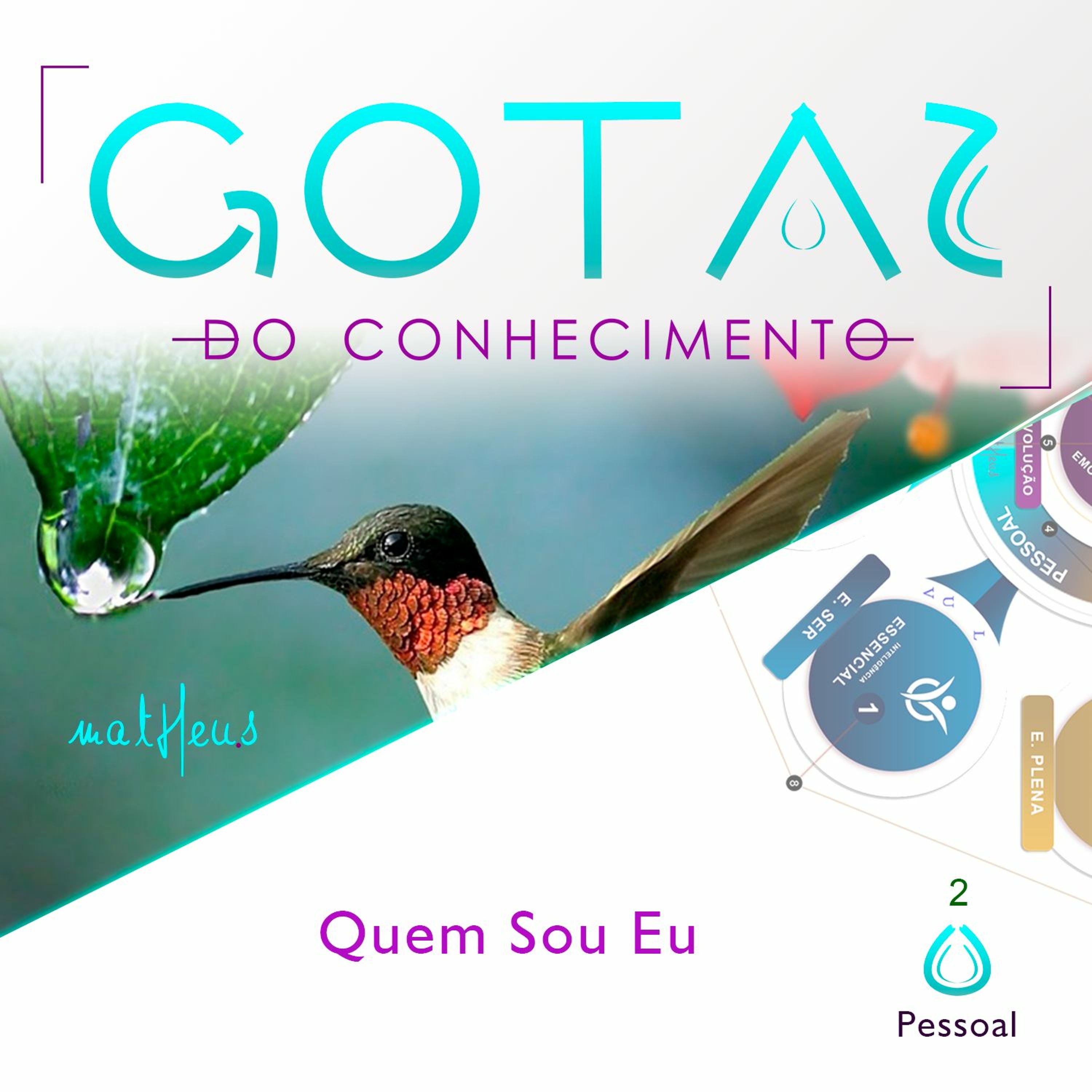 Academia de Excelência