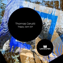 Premiere : Thomas Cerutti - No Words (Witty Tunes)