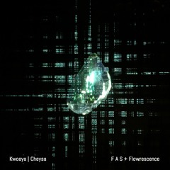 F A S + Flowrescence - Kwoaya