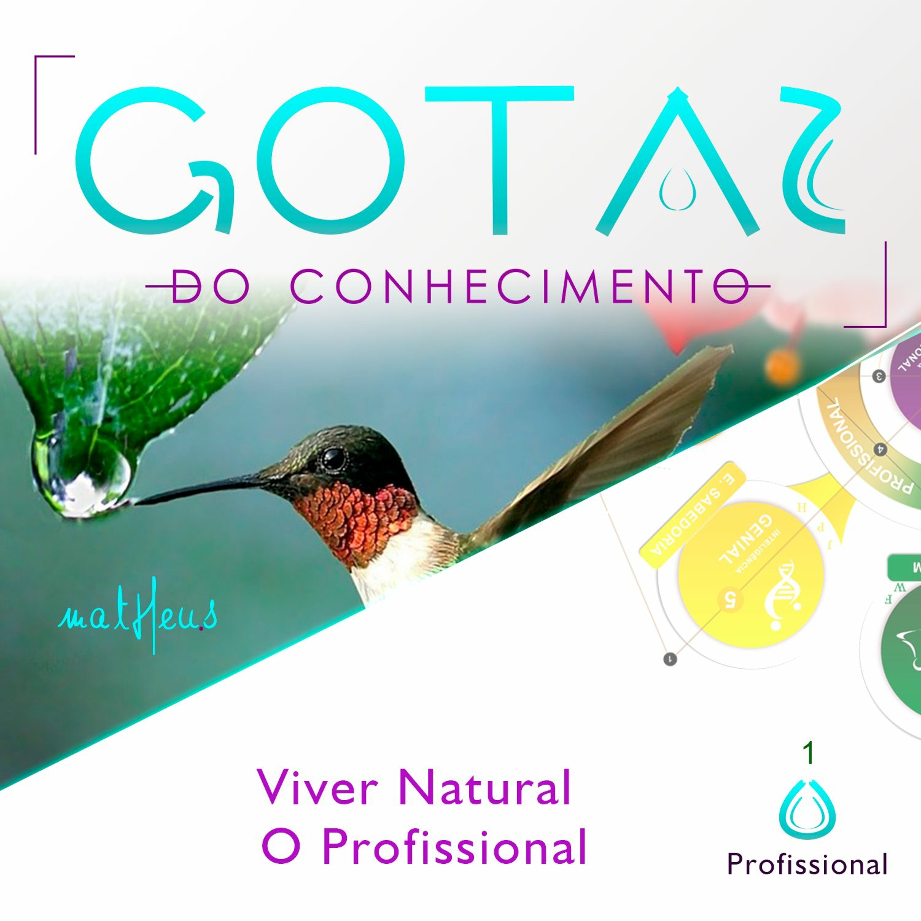 Academia de Excelência