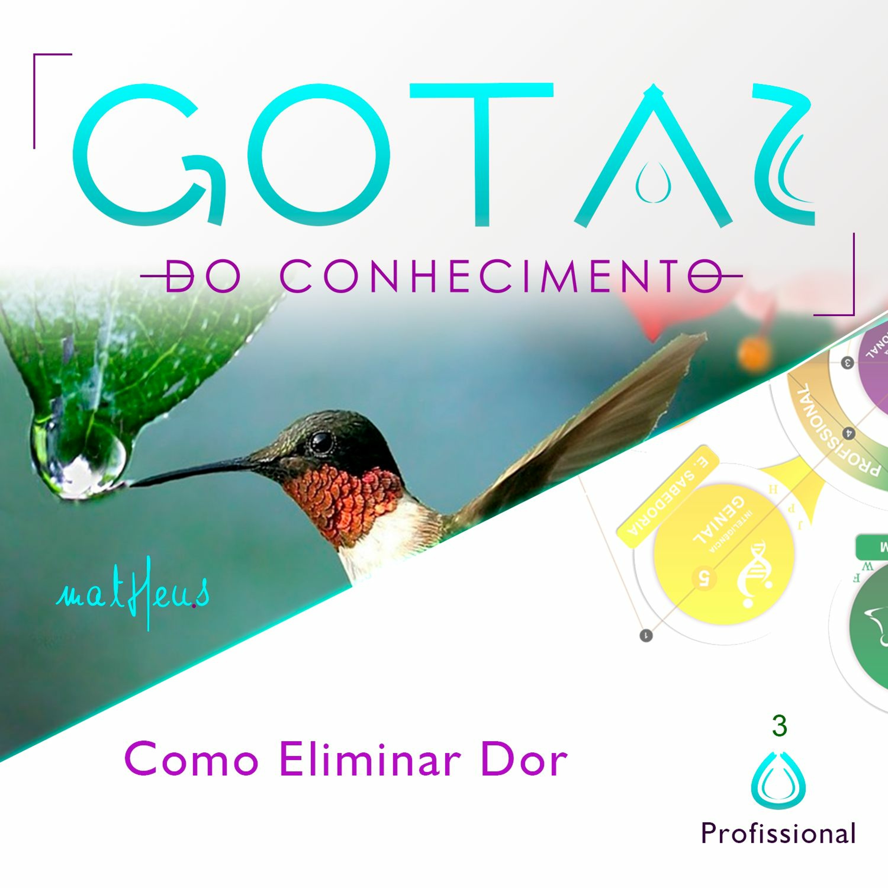 Academia de Excelência