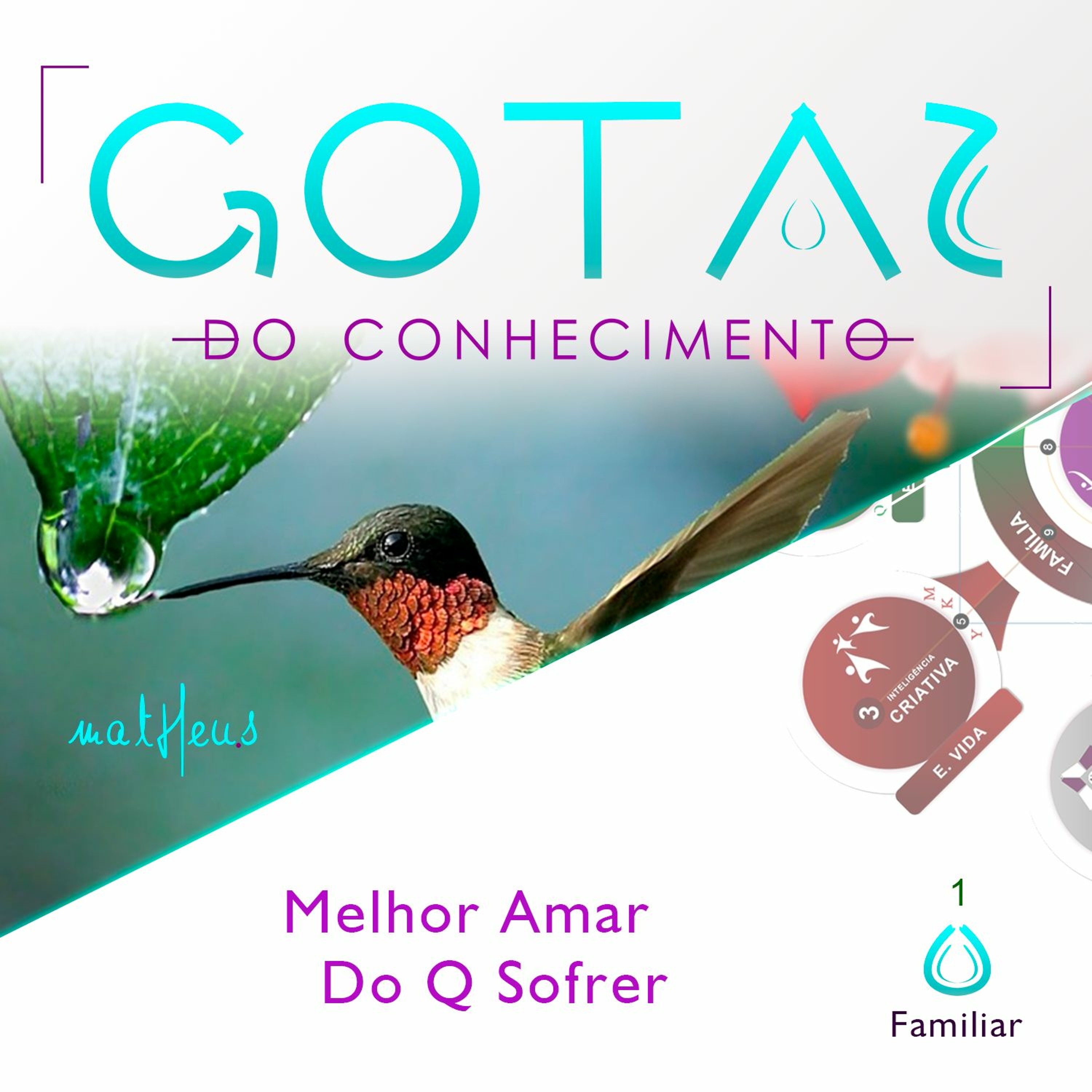 Academia de Excelência
