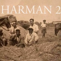 Müslüm Ergün - HARMAN 2