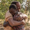 THE BOY WHO HARNESSED THE WIND (Netflix) PETER CANAVESE (CELLULOID DREAMS) 3-4-19 (SCREEN SCENE)