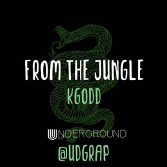 From The Jungle (feat. KGodd)