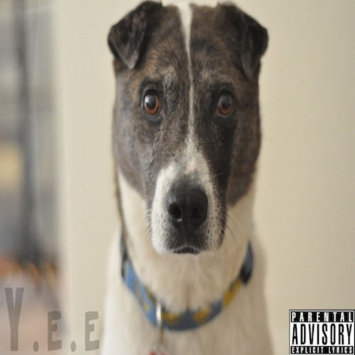 Spencer Bonds feat Don Dizzle & C4DW3LL - Narly(prod by spencer&dylan bonds)