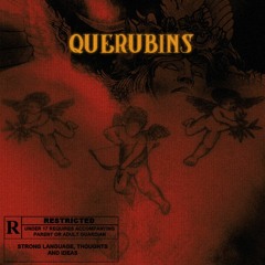 2. Querubins