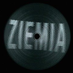 PREMIERE : Private Press - B2 (Untitled Ziema 001)