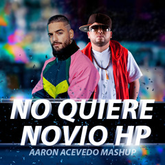 Maluma x Ñejo - No Quiere Novio HP (Aaron Acevedo Mashup)