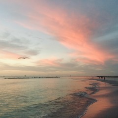 Learning How To Fall