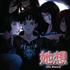 She Wanna (prod. pnoonz)