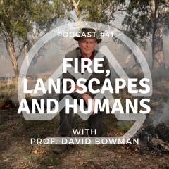 #41 Exploring the Relationships Between Fire, Landscapes and Humans with Professor David Bowman