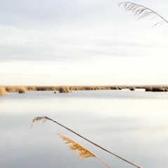 mistral gagnant