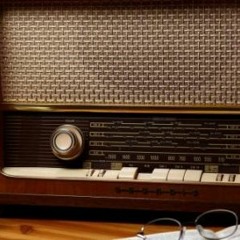 من ارشيف المحاكم  -  قضية حافظ وصبرى