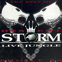 The Best Of Desert Storm (Disc 1)