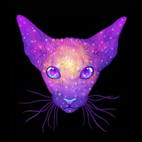 2019 Megamashup (Polaroids) - Happy Cat Disco