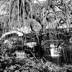 DeKay Mortal - A Child's Rebellion