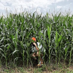 FARMING SIMULATOR [LOST PROJ FILE]