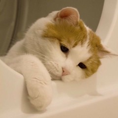 Broken - Abbey glover