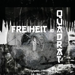Freiheit im Quadrat