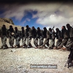 Nivişta Gerîla- Şêro Hindê/Mehmud Berazî