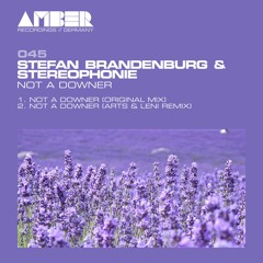 Stefan Brandenburg & Stereophonie - Not A Downer (Original Mix) Snippet