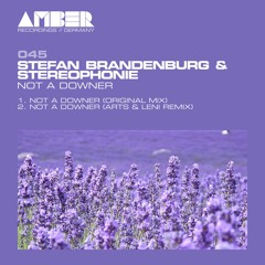 Stefan Brandenburg & Stereophonie - Not A Downer (Arts & Leni Remix) Snippet
