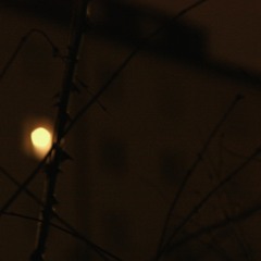i lost (Japanese Wallpaper - Breath In ft. Waifa)(blomsterpojkens's Remix)