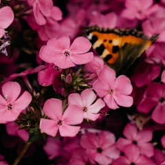 spring (prod. by yungalban)
