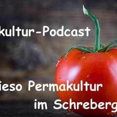 Podcast #3 / Wieso Permakultur im Schrebergarten